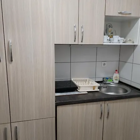 Zvezda Apartment *
